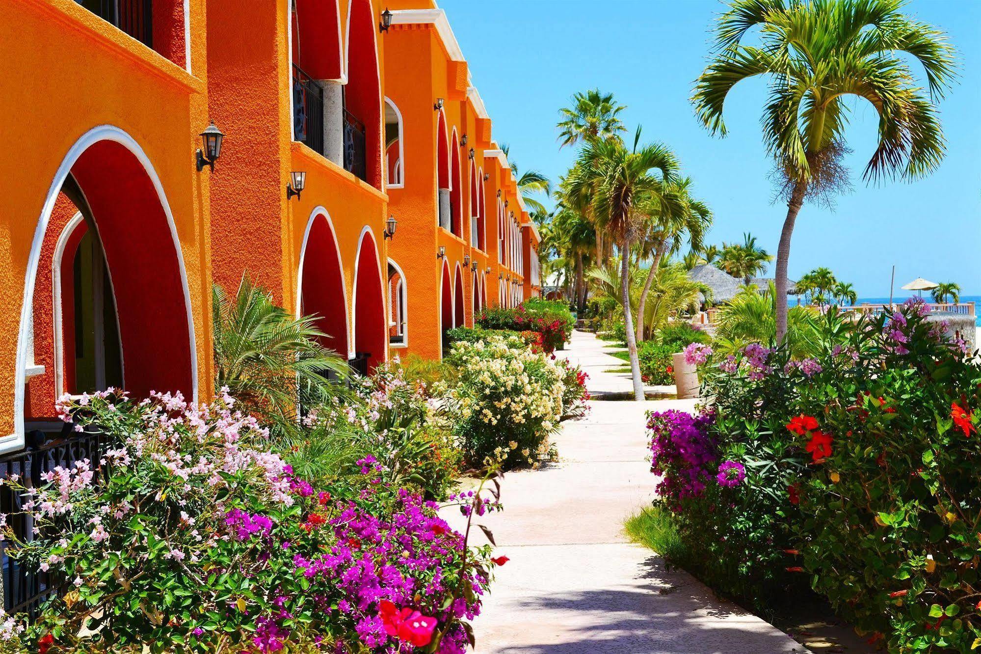 Hotel Palmas De Cortez Los Barriles Dış mekan fotoğraf